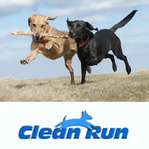 Clean Run