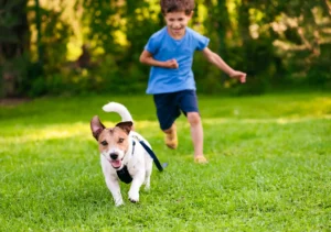 Boy and small dog running on grass.