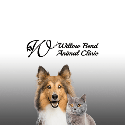 Willow Bend Animal Clinic logo
